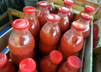Conservas: el INTA refuerza recomendaciones para evitar el botulismo tras un caso en Tunuyán