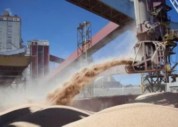 La liquidación del agro creció 25% en 2025 al totalizar más de US$31.300 millones
