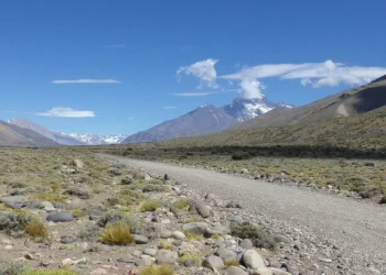 Liberación de compra de tierras para extranjeros: San Rafael tiene 120 mil hectáreas en manos de “forasteros”