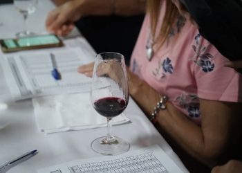 Tres propuestas sanrafaelinas se destacaron entre los mejores vinos caseros y artesanales del país