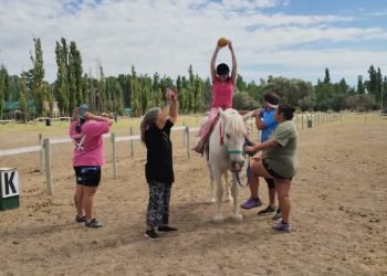 Rifa solidaria busca recaudar fondos para la alimentación de los caballos utilizados en terapias de Tremo Kawell