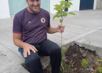 Borrador automático