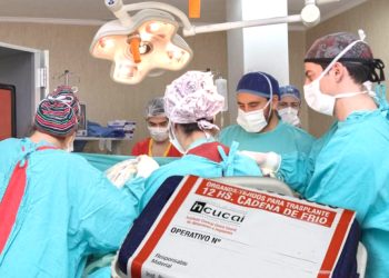 En el año en el Schestakow se realizaron 5 ablaciones de órganos y tejidos