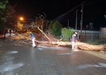 Amplio operativo municipal tras una tormenta severa que afectó a todo San Rafael