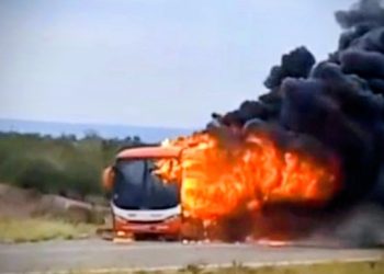 Un colectivo con docentes y alumnos se incendió en Ruta 40: pérdidas totales pero sin heridos
