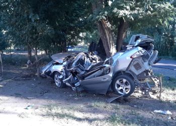 Tragedia: dos hombres murieron tras despistar y chocar contra un árbol en la Ruta 171 en Real del Padre