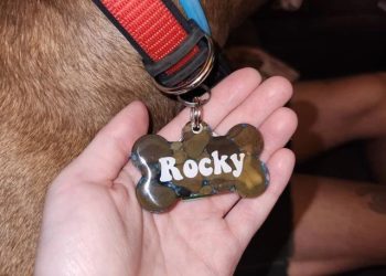 Entregan placas identificatorias gratuitas para mascotas ante el uso de pirotecnia