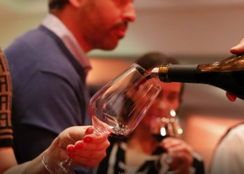 Vitivinicultura: Villanueva cuestionó el desconocimiento del gobierno nacional sobre la realidad del sector