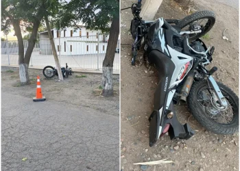 Se estrelló contra un árbol y murió: es el cuarto motociclista que pierde la vida en la semana en Mendoza