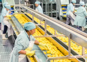 Conserveras en San Rafael: cierre de empresas, sobre stock y baja producción