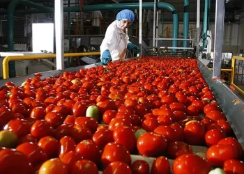 El intríngulis de la industria conservera sanrafaelina: ¿dejar de producir para volverse importadores?