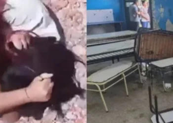 «Por meterte con macho ajeno»: la pelea que desencadenó el ataque con agua hirviendo a docentes del conurbano