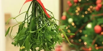 El beso bajo el muérdago: el ritual navideño que sigue vigente en todo el mundo