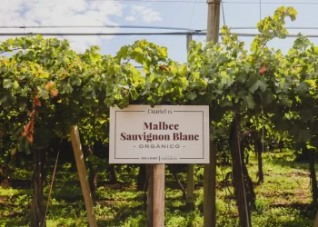 Con un decreto, Cornejo intervino en el millonario conflicto de la familia Zuccardi