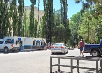 Buscan ampliar el horario de funcionamiento del Paso Pehuenche por el fuerte aumento del tránsito
