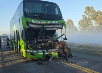 Quién era el chofer del colectivo que murió tras chocar en Ruta 22 con un camión