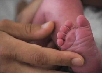 Francia registra más muertes que nacimientos por primera vez en 80 años