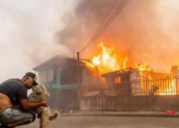 Suben a 19 los muertos en los incendios en Chile entre inquietud por reactivación de focos