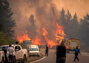 Drama en Chubut: las llamas arrasaron 40 mil hectáreas y brigadistas de Chile se suman a combatir el fuego