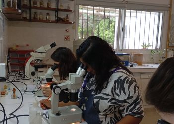 Ciencia que se aprende en el territorio: una pasantía que fortalece al agro local