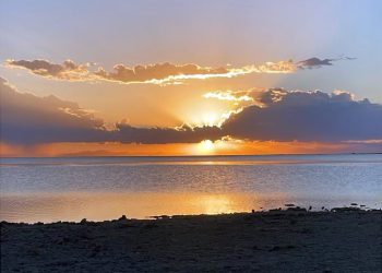 Los diques del Atuel están en 42% y contienen menos de la mitad del agua que en la temporada anterior