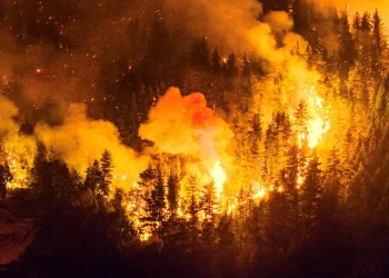 Chubut: el gobierno asegura que 22 de los 32 incendios están “completamente extinguidos”