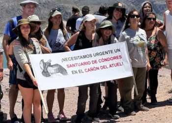 Reavivan el pedido por un Santuario de Cóndores en el Cañón del Atuel