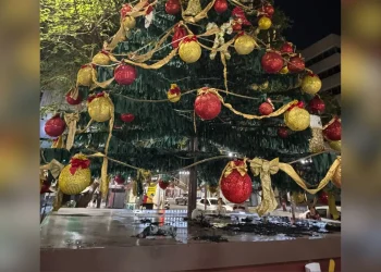 Así planificaron los antimineros el incendio del árbol de Navidad
