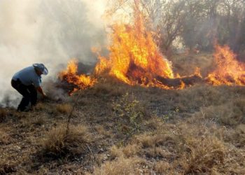Temporada de alto riesgo ígneo: Mendoza refuerza los controles y advierte por el factor humano en los incendios