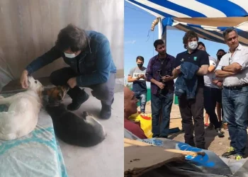 El refugio de perros que visitó Javier Milei en Godoy Cruz tiene un serio problema