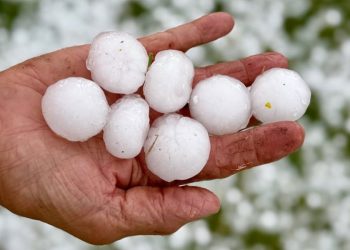 Hebe Casado aseguró que los productores afectados por el granizo en San Rafael serán resarcidos