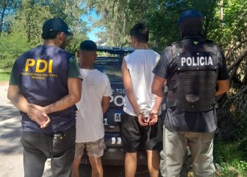 Dos detenidos tras una serie de robos y estafas en Rama Caída