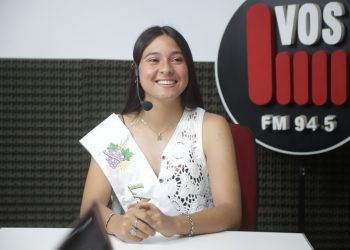 Temporada de alto riesgo ígneo: Mendoza refuerza los controles y advierte por el factor humano en los incendios