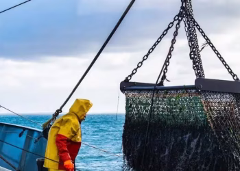 Pesca extranjera en Malvinas: el negocio millonario que sostiene al Reino Unido en las islas y perjudica a la Argentina