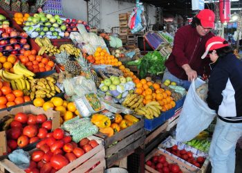 Acuerdo Mercosur-Unión Europea: «Mendoza está entre las provincias más beneficiadas por este salto cualitativo»