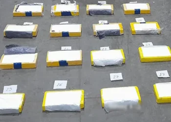 Más de 60 kilos de cocaína entre bananas: el cargamento narco que venía a Mendoza y fue incautado