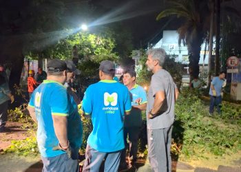 Tormentas en Mendoza: el intendente de Ciudad Ulpiano Suarez realizó un pedido importante