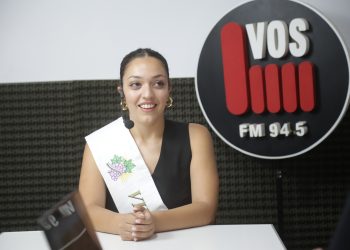 Temporada de alto riesgo ígneo: Mendoza refuerza los controles y advierte por el factor humano en los incendios