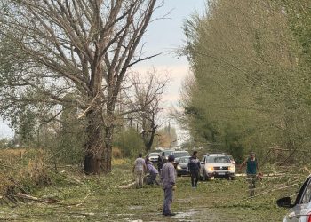 Desarrollo Social refuerza la asistencia territorial tras las intensas lluvias en San Rafael