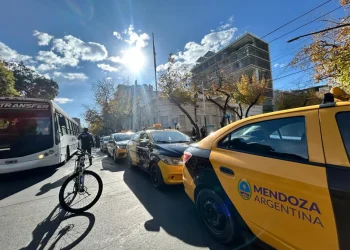 Así será el nuevo diseño para los taxis del Gran Mendoza