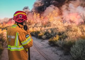 Multas de hasta $70 millones por encender fuego en zonas no autorizadas en Mendoza