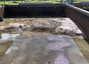 Cinco plantas potabilizadoras de San Rafael, afectadas por la turbiedad del agua que baja del Diamante