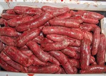 Polémica en una carnicería de Salta: denunciaron que vendía carne de gato