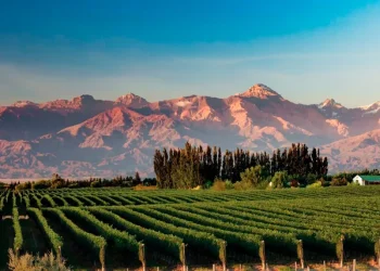 No vengas a Mendoza sin leer esto: los secretos que todo turista debe saber