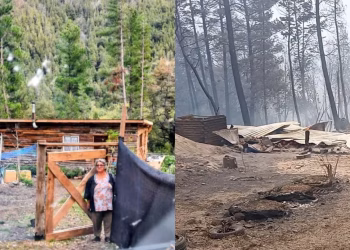 Sacó un préstamo, construyó su cabaña en Epuyén y ahora el fuego arrasó con todo: el drama de Flora Nahuelcheo