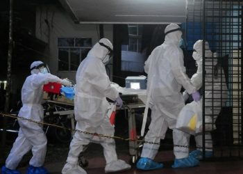 Alarma en India por brote del virus Nipah: hay médicos contagiados y pacientes en coma