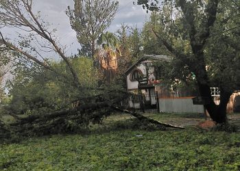 Supercelda en San Rafael: ráfagas de 80 km/h provocaron graves destrozos y bloqueos en Villa 25 de Mayo y Las Paredes