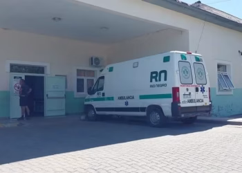 Río Negro: Una mujer y su hija murieron tras esquivar un jabalí en la ruta y chocar contra un árbol