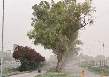 El Gobierno deberá indemnizar a un mendocino por un accidente durante el Zonda