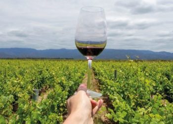 Entre los destinos nacionales más elegidos para vacacionar, Mendoza tiene los precios más competitivos